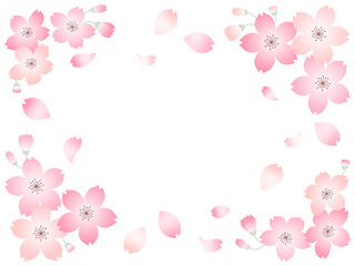 3色の桜の花の素材