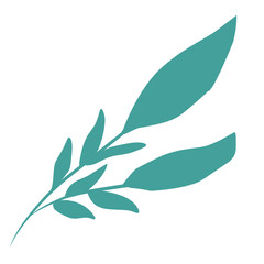 Plants leaves drawing 