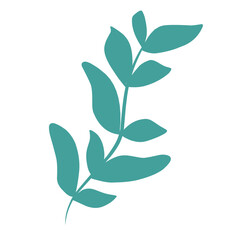 Fototapeta premium Plants leaves drawing 
