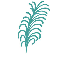 Plants leaves drawing 