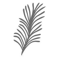 Obraz premium Plants leaves drawing 
