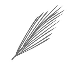 Plants leaves drawing 