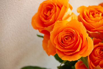 オレンジ色のバラ