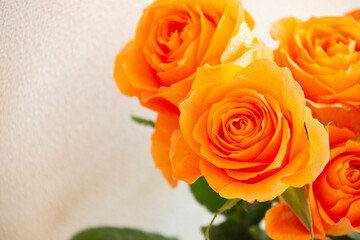 オレンジ色のバラ