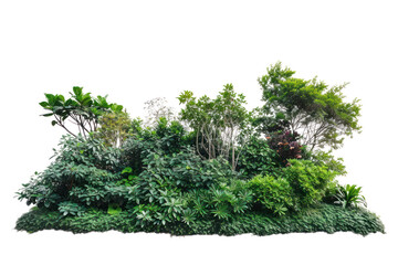Lush green bush on a transparent background - obrazy, fototapety, plakaty