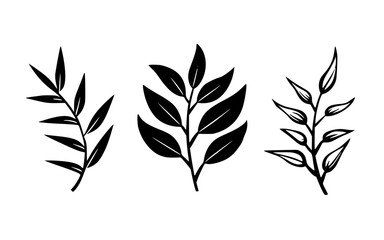 Leaves vector clipart. Spring illustration.