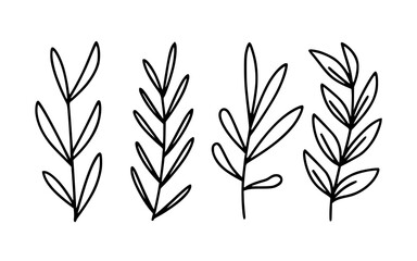 Leaves vector clipart. Spring illustration.