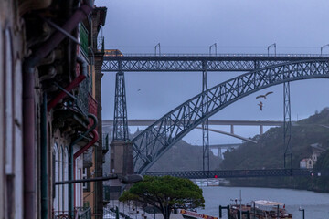 bridge over the river