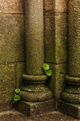 stone wall with grass