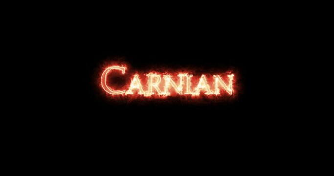 Carnian, stage of the Upper Triassic, written with fire. Loop