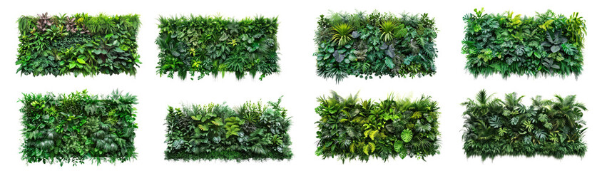 Set of green wall of tropical plants on a transparent background
