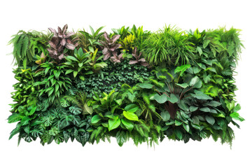 Green wall of tropical plants, cut out - stock png.