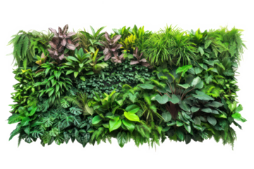 Green wall of tropical plants, cut out - stock png.