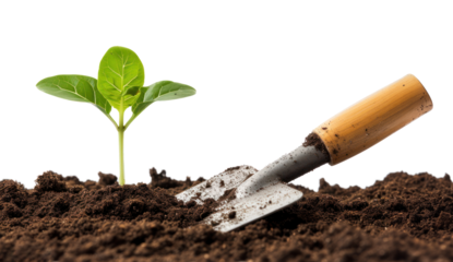 Young plant in the soil with a garden shovel, cut out - stock png.