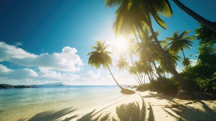 beautiful natural white sand beach with palm trees photography