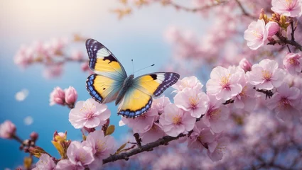 Papier Peint photo Lavende Spring banner, branches of blossoming cherry against background of blue sky and butterflies on nature outdoors. Pink sakura flowers, dreamy romantic image spring, landscape panorama, Ai image 