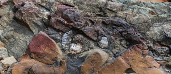 natural sandstone surface, beautiful color.