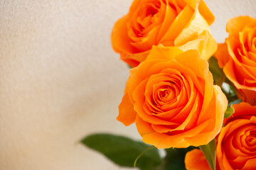 オレンジ色のバラ