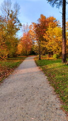 Fototapeta na wymiar Trail in an Autumn Park. Daytime photo