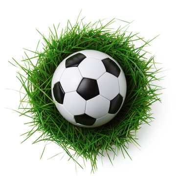 Soccer ball on green grass, cut out - stock png.