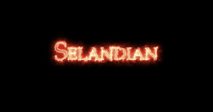 Selandian written with fire. Loop