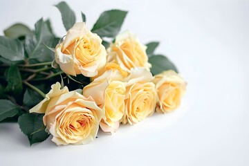 Beautiful bouquet of soft yellow roses on white clean table. Copy space. Generative AI.