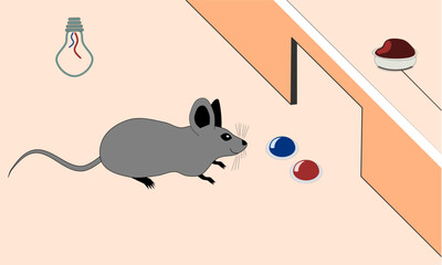 Lab Mouse Reward Experiment