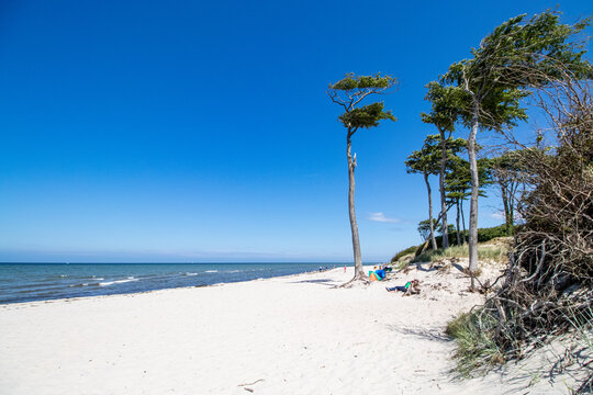 Darsser Weststrand, laut ARTE einer der sch&ouml;nsten Str&auml;nde der Welt.