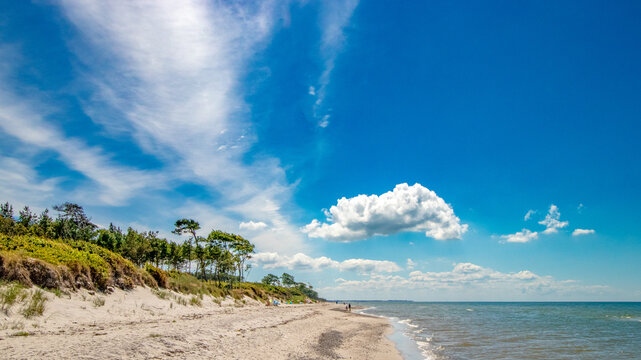 Darsser Weststrand, laut ARTE einer der sch&ouml;nsten Str&auml;nde der Welt.