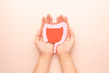 Hand holding large intestine organ made form paper on beige background. Concept of healthy bowel...