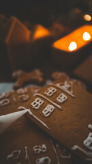 Macro Close-Up of Royal Icing Decoration on Gingerbread House, Traditional December Festivities