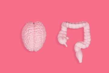 Brain and Intestine Figurines on Pink