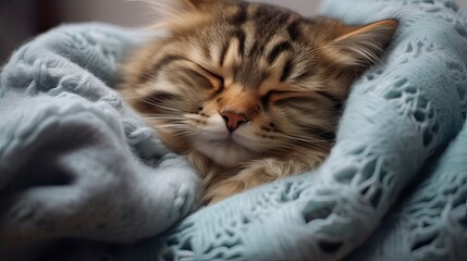 The embodiment of comfort, a fluffy cat naps on a soft knit blanket, radiating warmth and coziness. Feline, pet, relaxation, cuddly, purring, adorable, warm, domestic. Generated by AI.