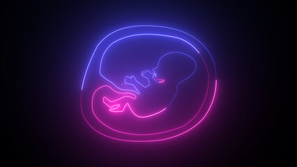 Human fetus inside the womb. Pregnancy fetal foetus development. Human embryo, stages of fetal development