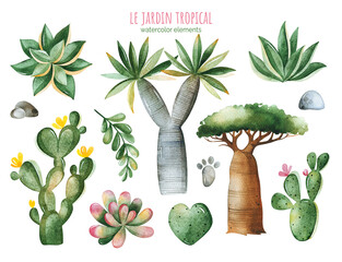 Watercolor collection with tropical plants-succulents,cactus,dragon trees,baobabs and more. Perfect for your project, wedding, invitations, wallpapers, prints, textile etc