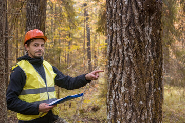 A forester works in the forest. Forest engineer, male, working.