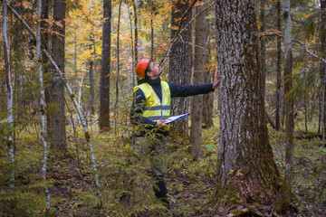 A forester works in the forest. Forest engineer, male, working.