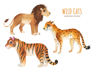 Watercolor collection with the wild cats-lion, tiger and cheetah. African animals.Perfect for your own project, education, school, invitation, wallpapers, stickers and more