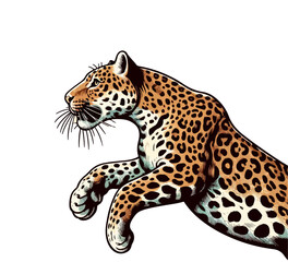 Leopard hand drawn illustration vector graphic