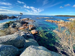 rocky coast of the Tasman sea