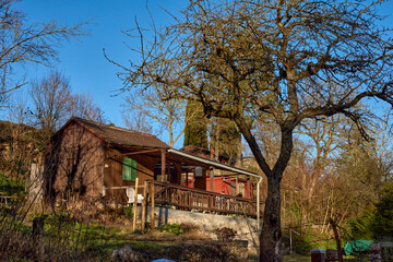 Autumn Serenity in Germany. Countryside Villages and Vineyards Along the River. autumn landscapes of Germany, featuring quaint cottages in a German village and picturesque vineyards adorning the