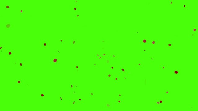 Red rose petals flying on chroma key. Green screen background. Looping animation. Relationship. Isolated on green screen