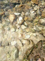 cystal clear ocean water and rocks