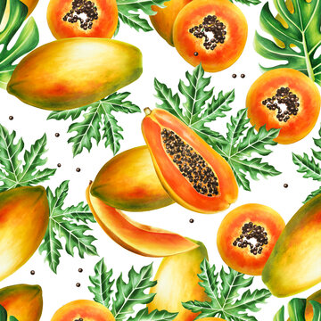 Marker seamless pattern with sweet ripe slice of papaya with grains, tropical leafs, monstera, ficus in watercolor style. Hand drawn realistic tasty organic illustration of exotic tropical isolated 