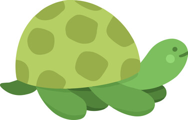green turtle cartoon illustration