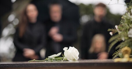 Rose, coffin and funeral at cemetery outdoor at burial ceremony of family together at grave. Death,...