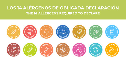 Isolated Vector Logo Set Badge Ingredient Warning Label. Colorful Allergens icons. Food Intolerance. The 14 allergens required to declare written in Spanish and English