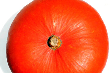Close-up of the red cap of a Turban squash (gourd). 