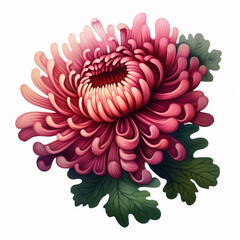 Floral Graphic Design Element