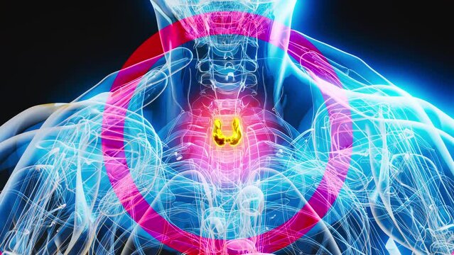 Abstract animation of a man and the thyroid gland